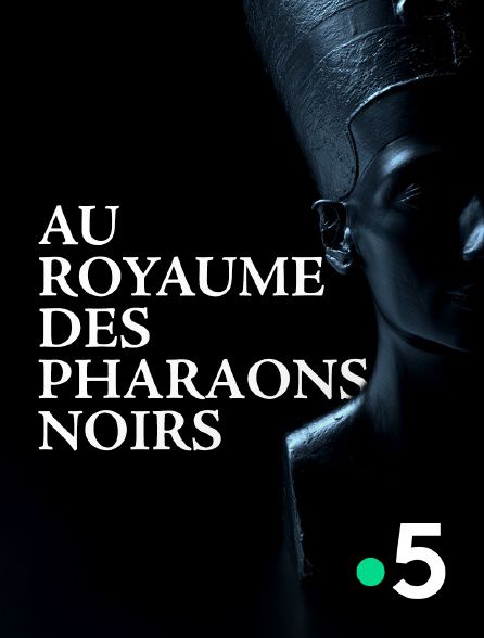 Film Au royaume des pharaons noirs - Documentaire (2021)
