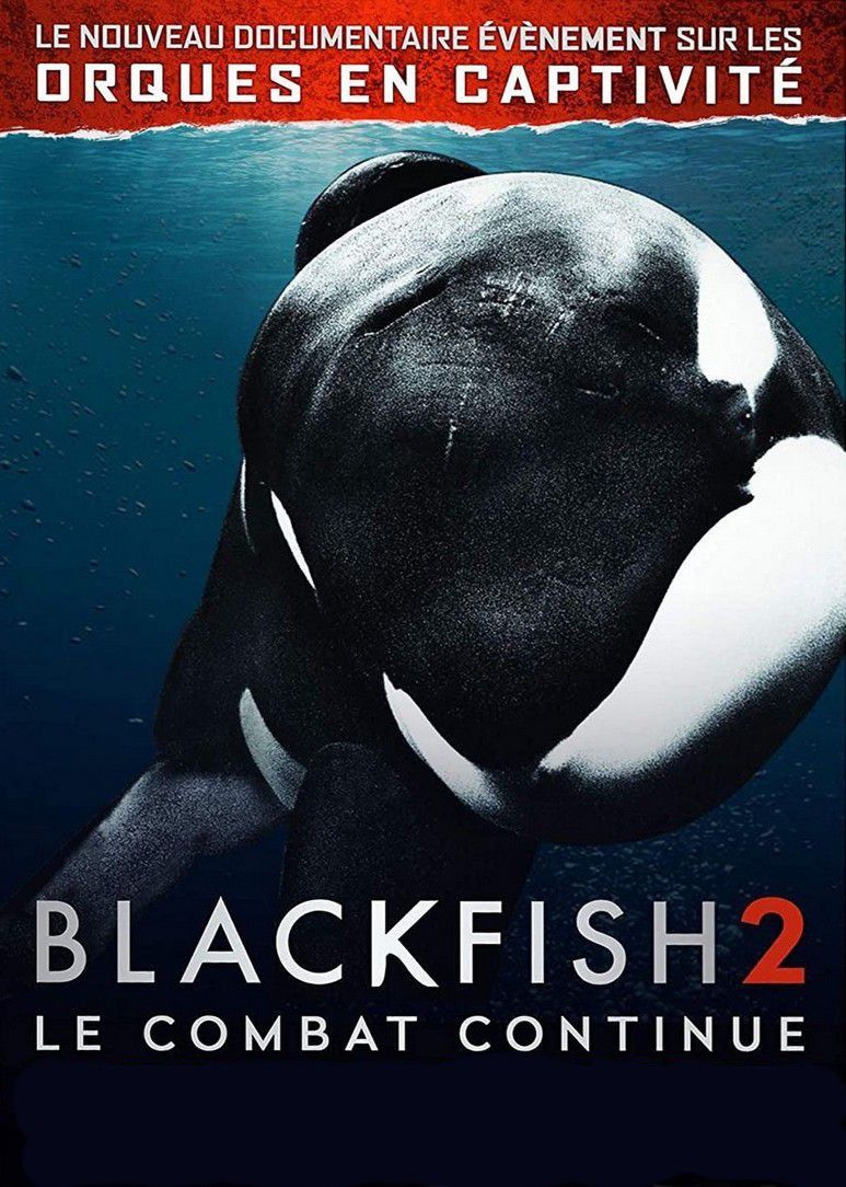 Film Blackfish 2 - Documentaire (2021)