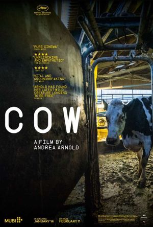 Film Cow - Documentaire (2021)
