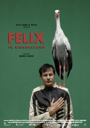 Film Felix in Wonderland - Film (2021)
