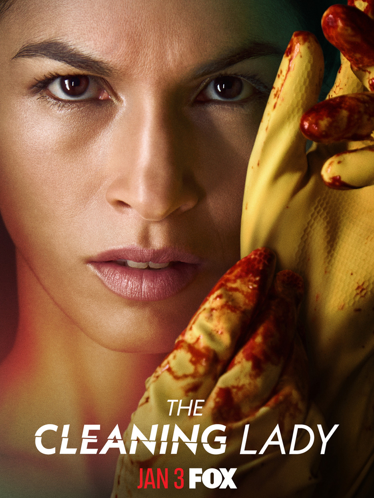 The Cleaning Lady - Série TV 2022