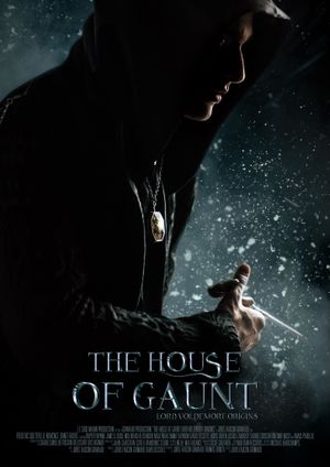 Film The House of Gaunt: Lord Voldemort Origins - Court-métrage (2021)